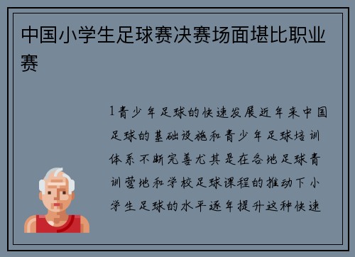 中国小学生足球赛决赛场面堪比职业赛